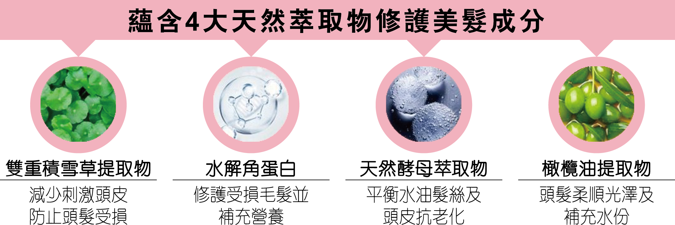 Icon-4elements